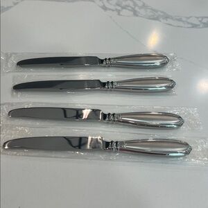 Princess House 4pc Dinner knife.